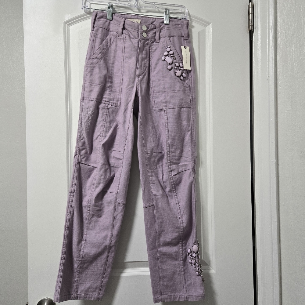 Pilcro The Wanderer NWT Lavender Embellished Women’s Pants Size 23